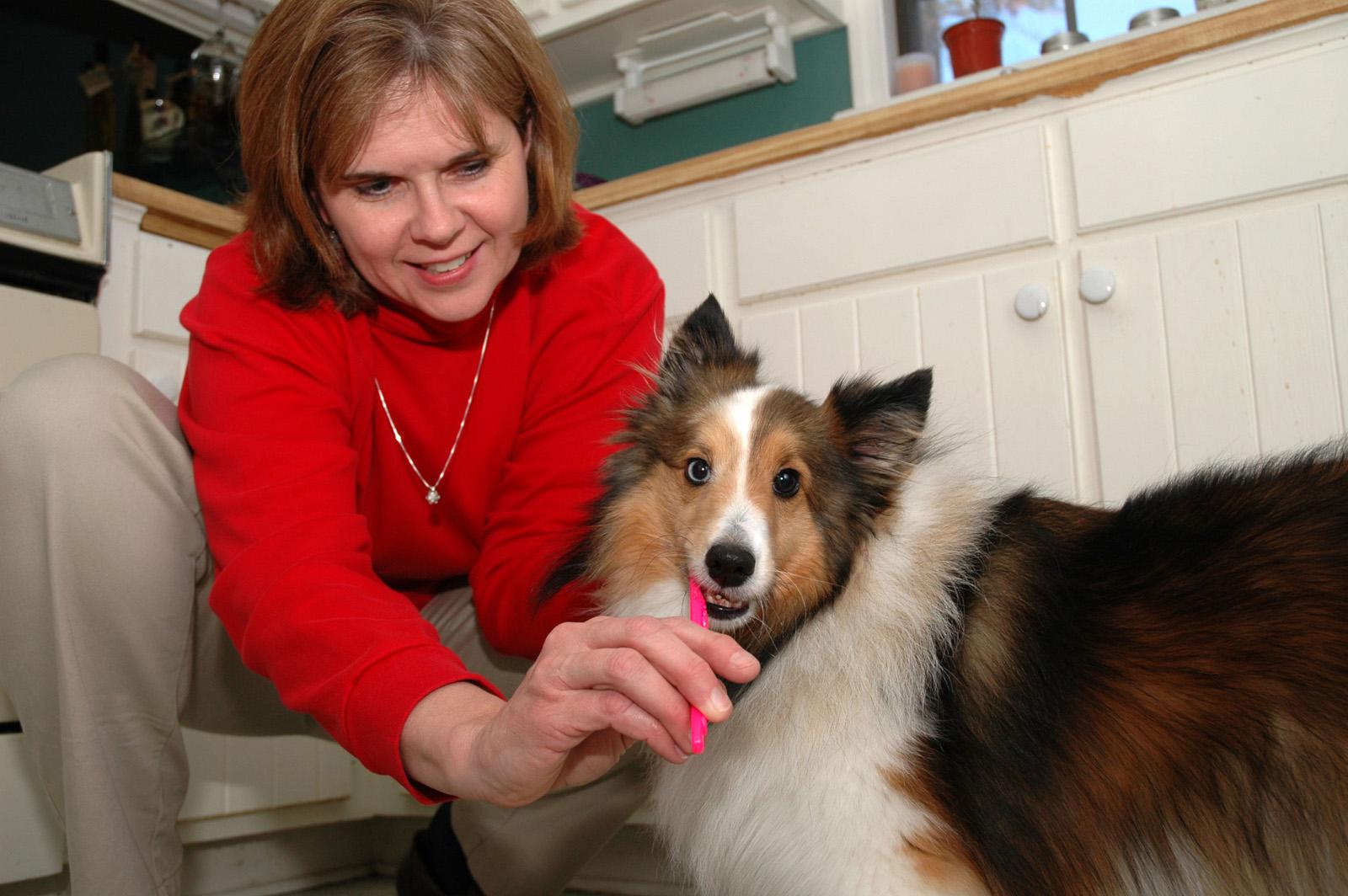 Susan Seal and her dog Sadie.