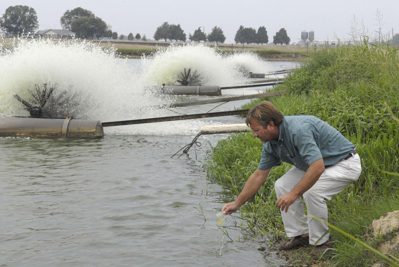 Charlie Hogue, catfish production specialist with the Mississippi State University Extension Service, tests water from a catfish pond at Shirck Fish Farm in Noxubee County. (Photo by Tom Thompson)