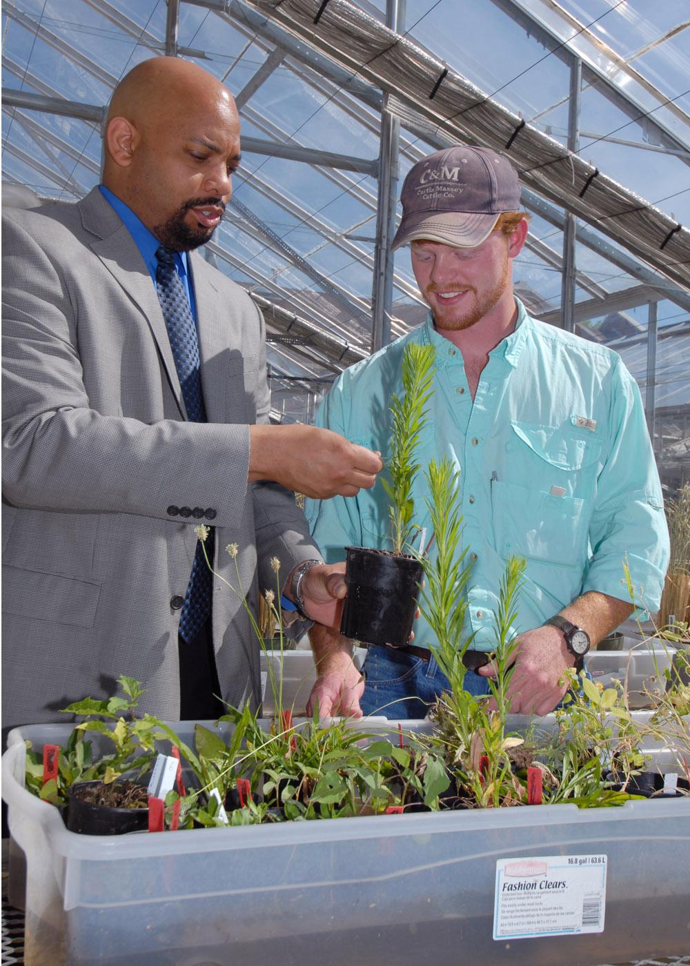 Mississippi State University weed science associate professor Alfred Rankins, left, and his student, Wes McPherson of Inverness, go outside the classroom to look for pest problems in greenhouse plants. (Photo by Jim Lytle)