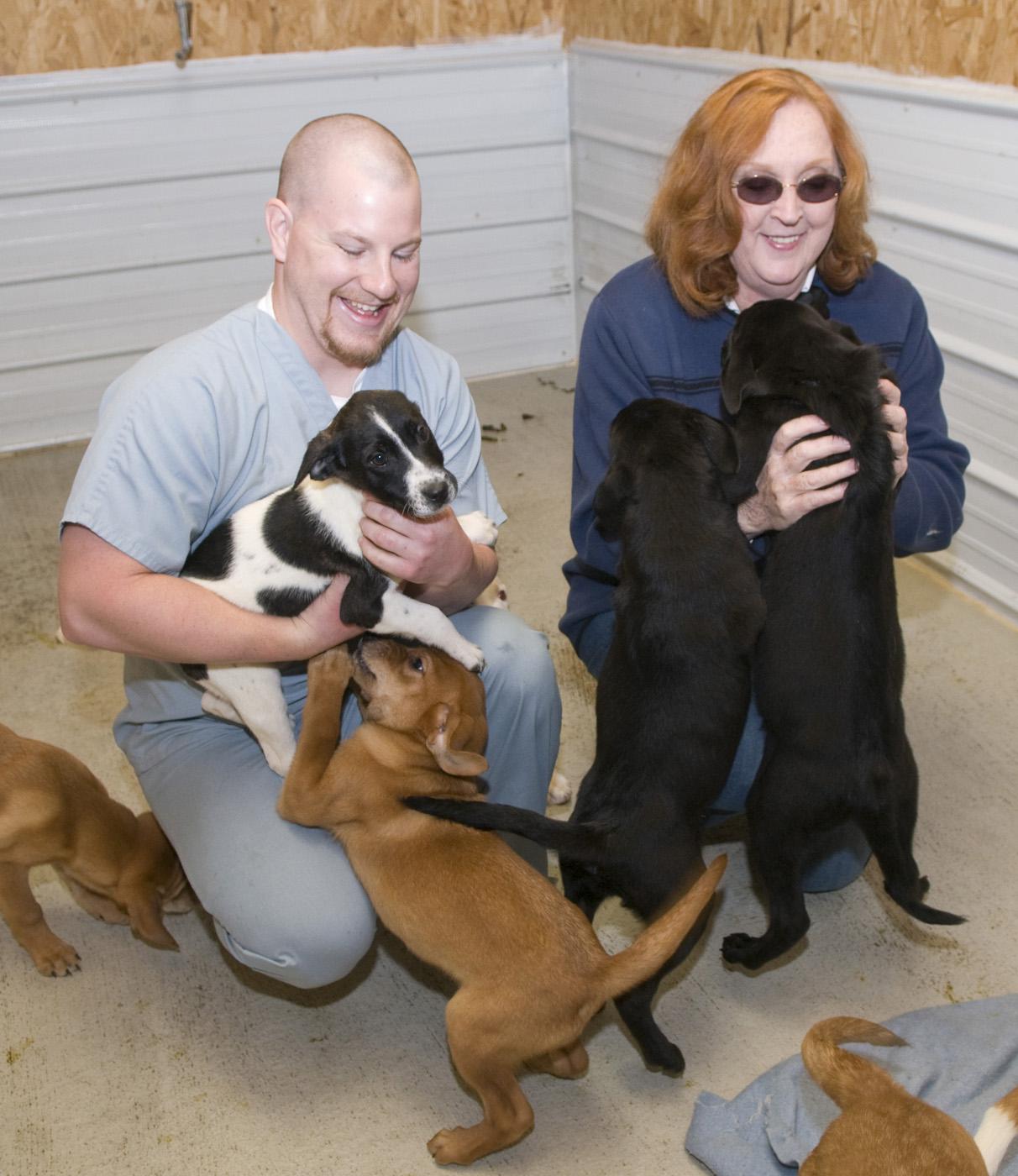 Mississippi State University veterinary medical student Wade Bowers of Memphis and Aberdeen animal shelter manager Astrid Peterson play with several of the dogs at the facility. (Photo by Tom Thompson)