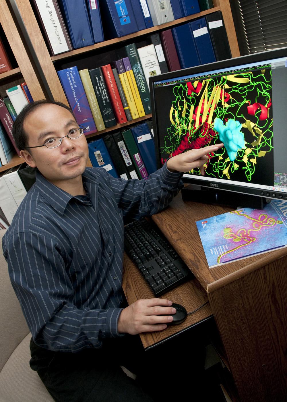 Henry Wan, assistant professor at Mississippi State University's College of Veterinary Medicine, developed a computer program that provides a better understanding of why flu viruses mutate and how they spread. (Photo by Tom Thompson)   