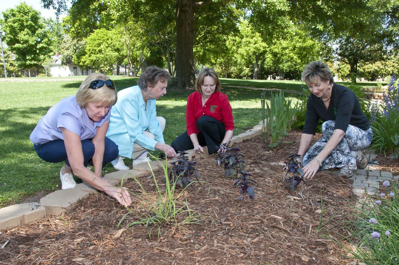 Lowndes County Master Gardeners, from left, Jean Wilson, Mary Faglie, Jennifer Duzan and Nell Thomas examine some of the herbs growing in the garden they renovated for the Culinary Institute at Mississippi University for Women. (Photo by Scott Corey)