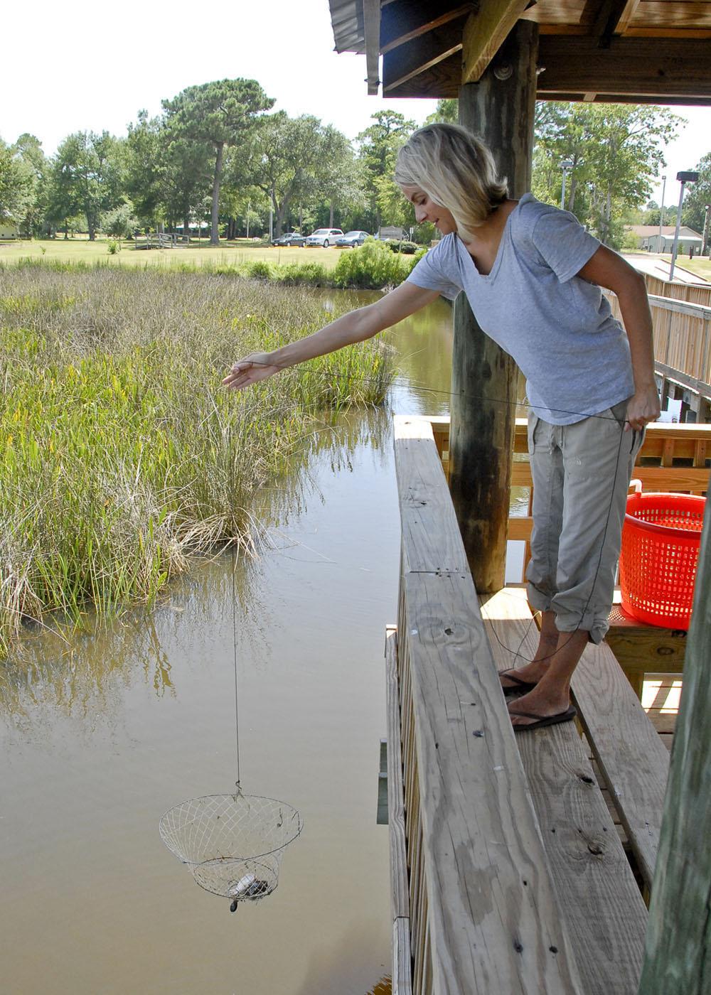MSU wildlife and fisheries graduate student Sarah Harrison lowers a net into the Pascagoula Estuary. Data she is collecting can be used to assess the impact on the blue crab population if oil from the Gulf reaches the wetland. (Photo by Bob Ratliff)