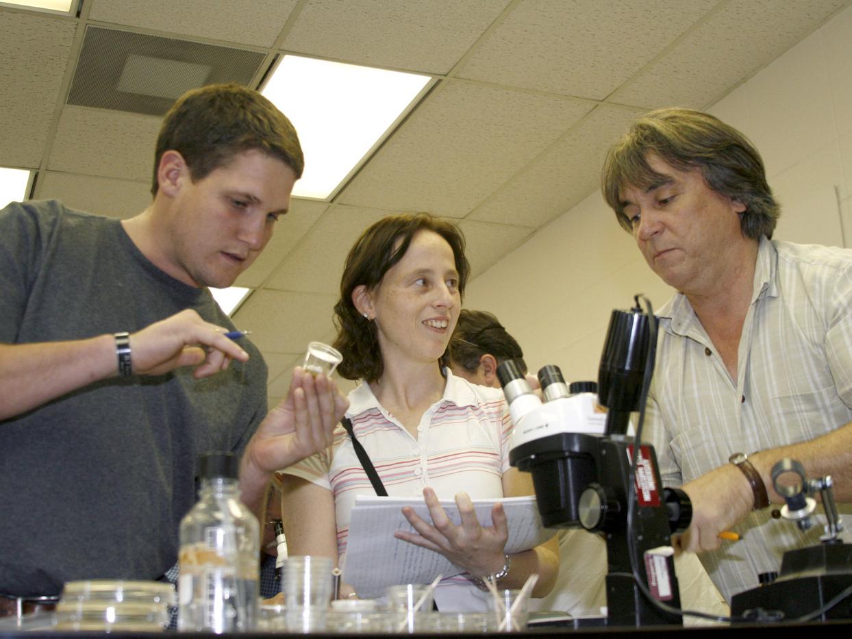 Each fall, scientists from all over the world flock to Mississippi State University to learn the latest in insect-rearing techniques. Blaine Junfin of Kunafin Insectaries and international participants Tara Van Beelen and Neil Naish identify insect pathogens in an MSU lab. (Photo by Kat Lawrence)