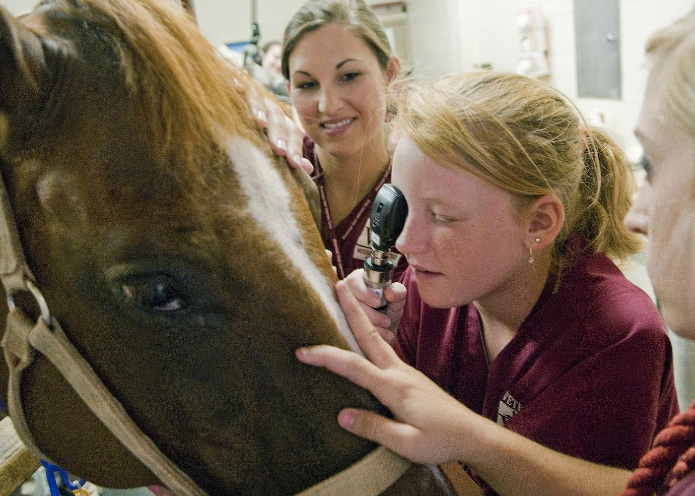 Mississippi State University College of Veterinary Medicine student Susannah Brent, left, shows vet camp participant Santana Shelton how to use an ophthalmoscope to examine a horse's eye. (Photo by MSU College of Veterinary Medicine/Tom Thompson)