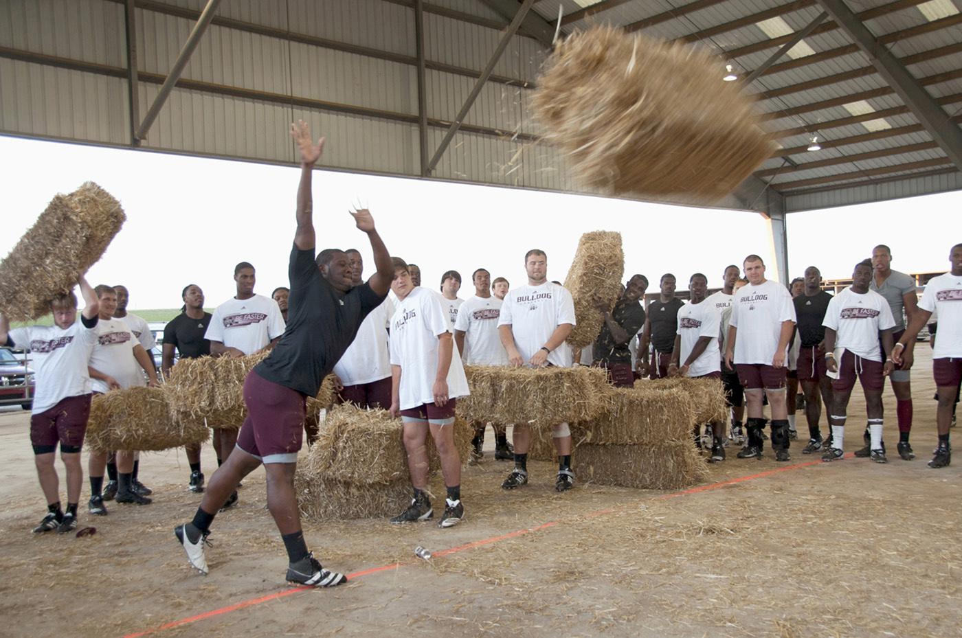 Mississippi State University defensive lineman Kaleb Eulls of Yazoo City takes part in a friendly hay toss competition with fellow football players at the Mississippi Horse Park after Monday's practice on "the farm." The first annual event, called "Beefin' up the Bulldogs," included a steak supper and activities promoting MSU's land-grant heritage. Sponsors included First South Farm Credit, Mississippi Cattlemen's Association, Mississippi Beef Council, MSU's Animal and Dairy Science Department and the Missi