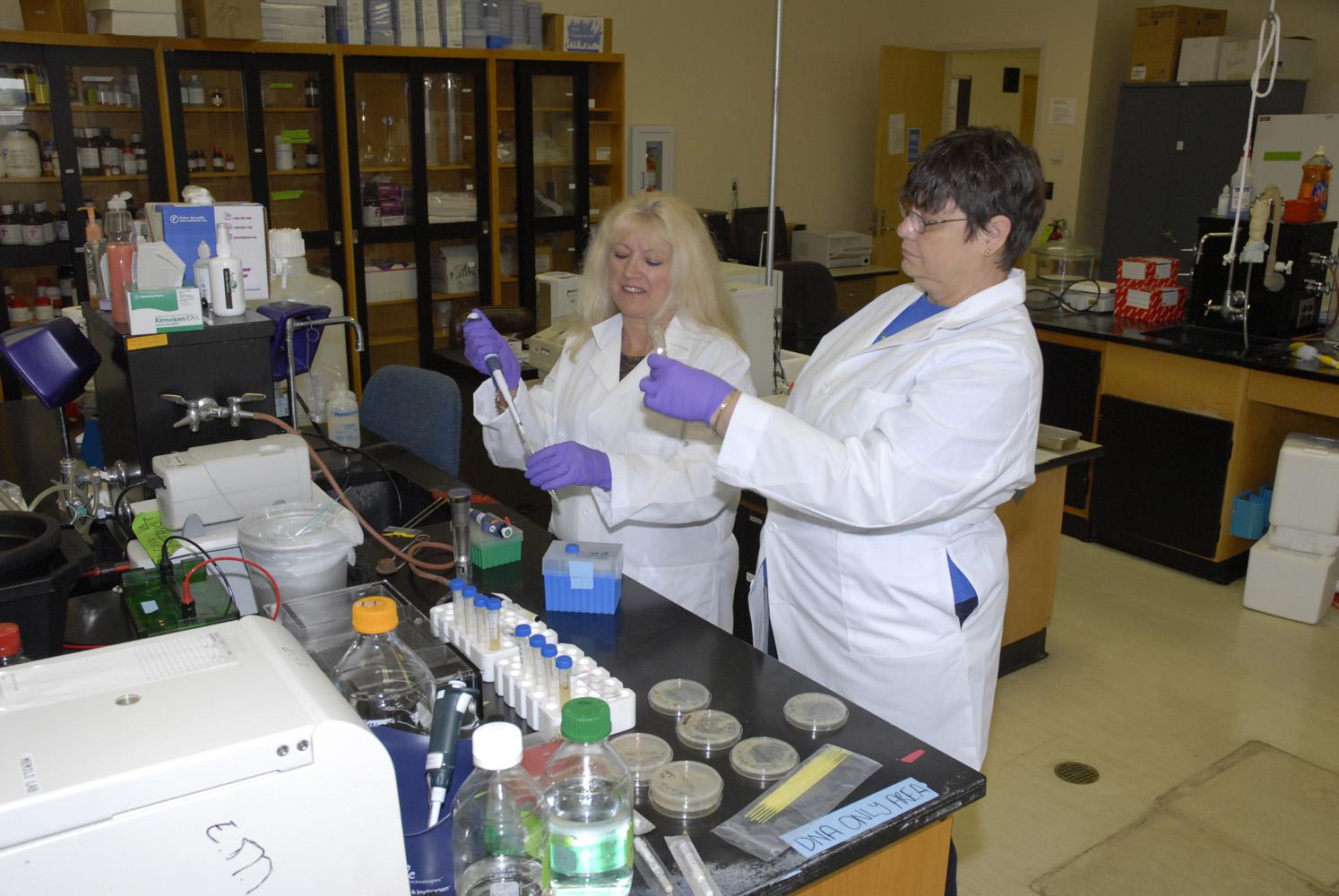 Eighth-grade science teachers Judy Harden of Saltillo (left) and Joan Estapa of Bay Saint Louis conduct experiments during an intense two-week course in functional genomics and biology at Mississippi State University. The teachers were taking part in a Research Experience for Teachers grant under the supervision of an associate professor in MSU's Department of Animal and Dairy Science. (Photo by MSU Ag Communications/Linda Breazeale)