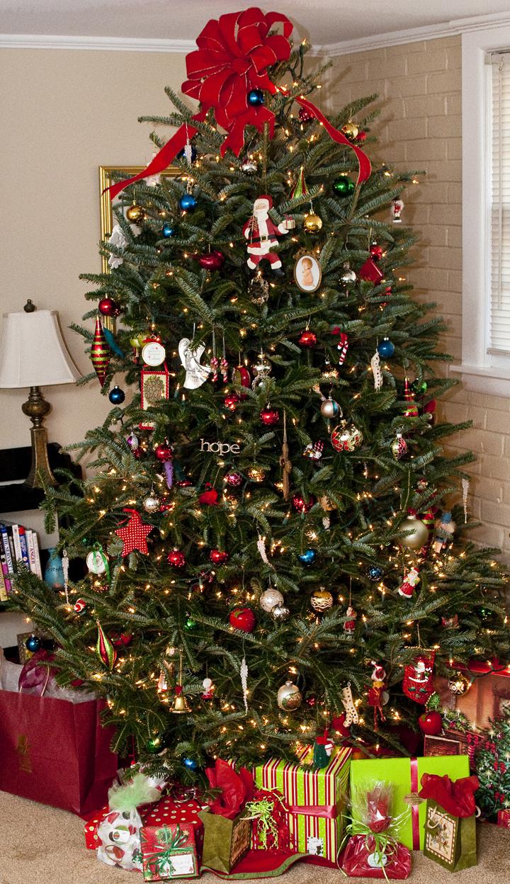Decorated Christmas tree with gifts under it.