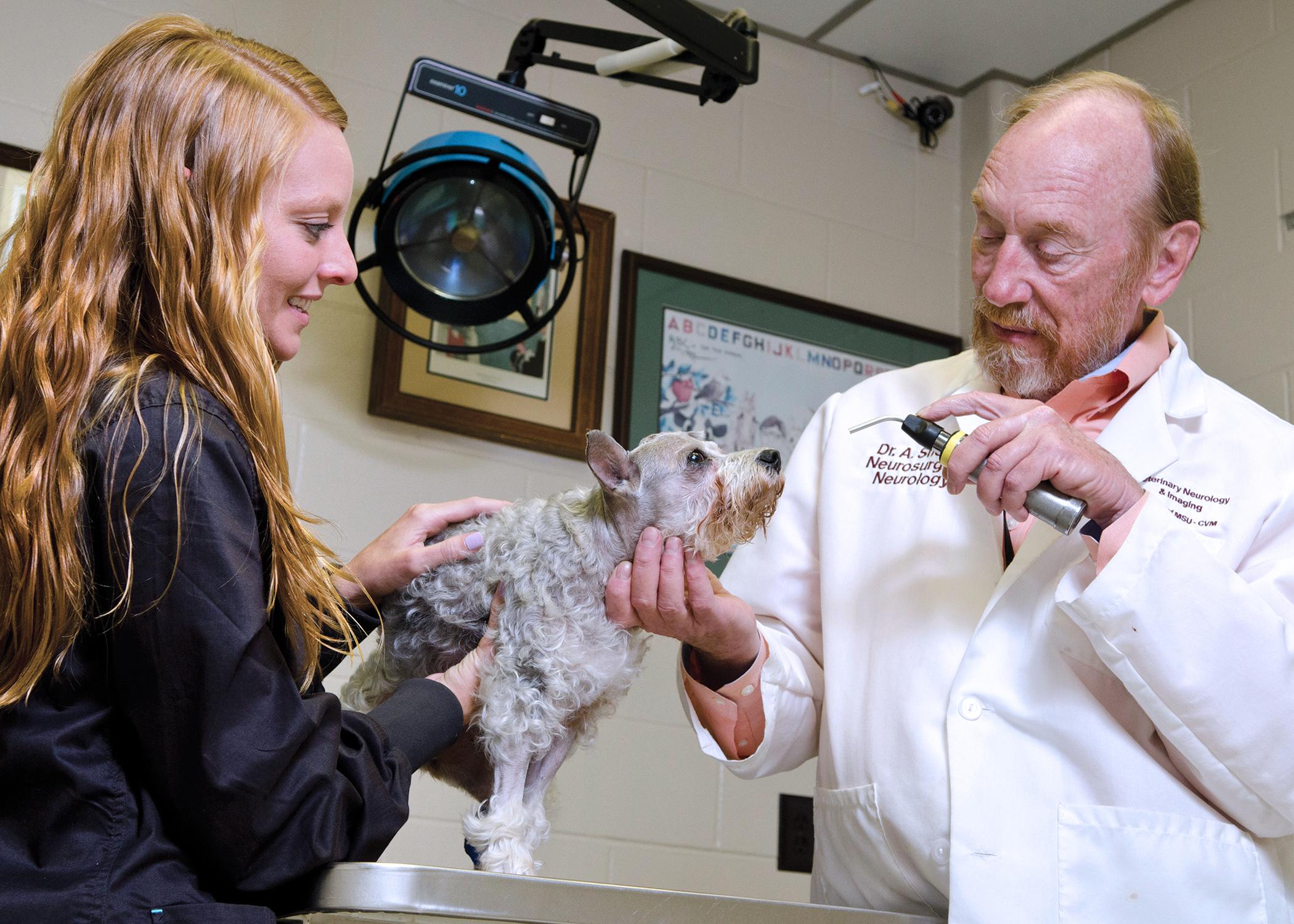 Dr. Andy Shores, right, chief of neurosurgery and neurology at the Mississippi State University College of Veterinary Medicine, and Ashley Wicha, a veterinary technologist, check a patient's brain stem reflexes. (Photo by MSU College of Veterinary Medicine/Tom Thompson)