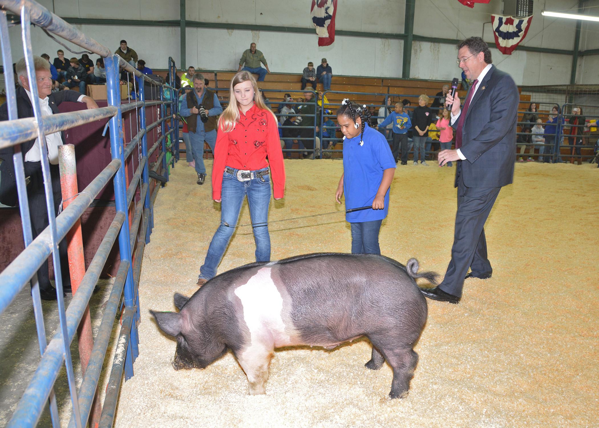 Alexis Pickens, center, maneuvers a hog in the Clarke County Special Needs Livestock Show under the watchful eyes of 4-H member Brittany Conner on Jan. 23, 2015. U.S. Congressman Gregg Harper is reporting observations as he serves as the celebrity judge for the annual event in Quitman, Mississippi. (Photo by MSU Ag Communications/Linda Breazeale)
