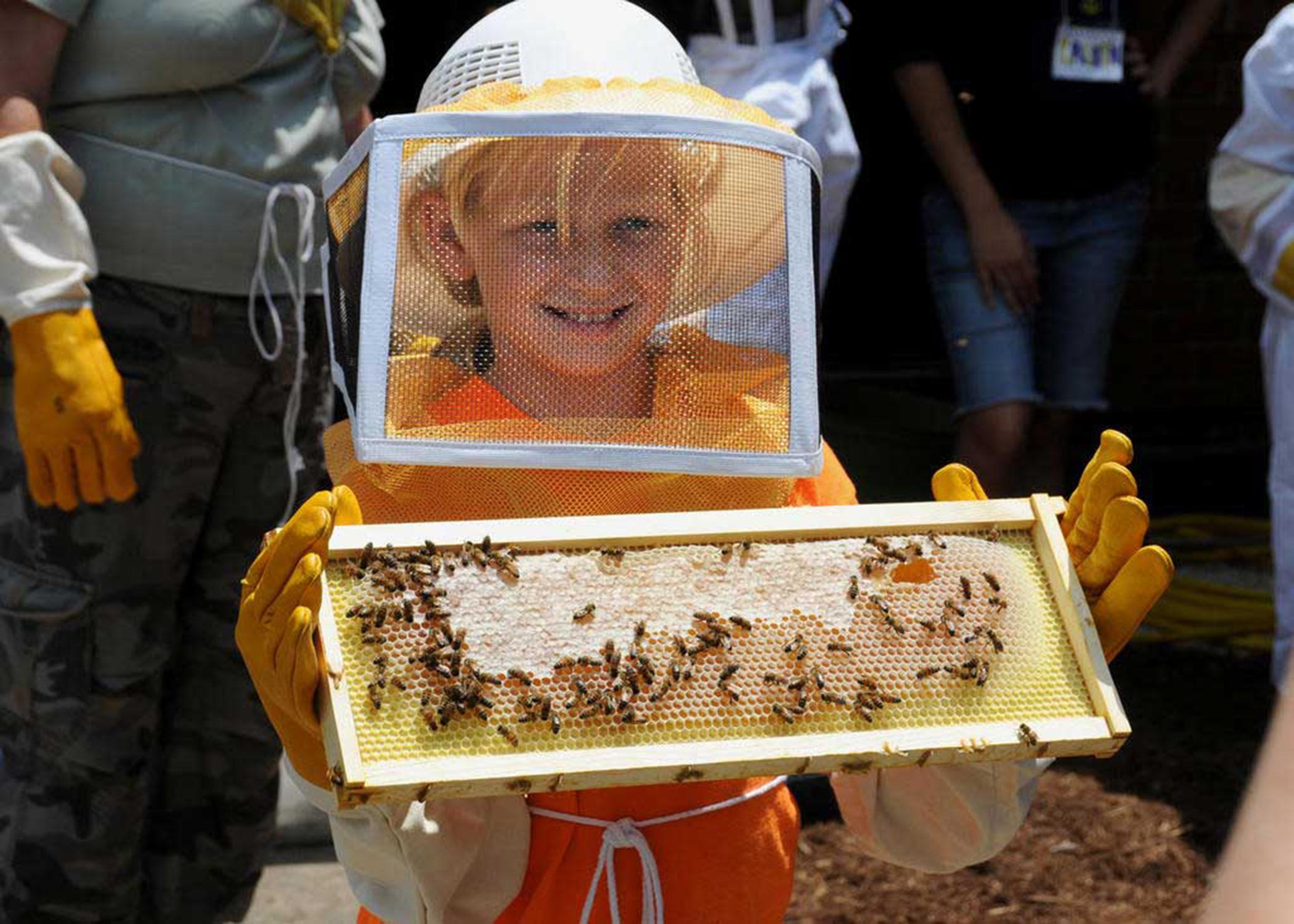 PLAN BEE: What the master beekeeper program is all about, News