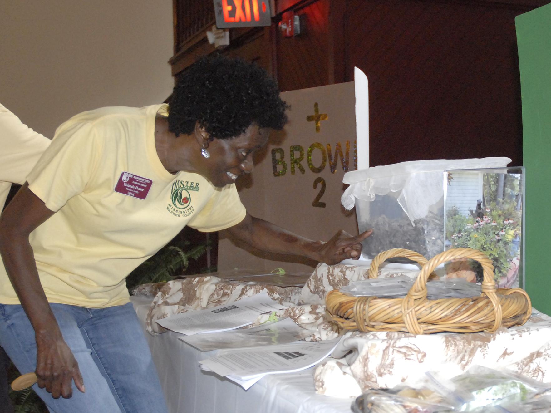 Warren County Master Gardener Yolanda Horne checks on worms living in a plastic bin on June 13, 2017. The worms were part of an exhibit on composting at the Know Your Roots: Grow Your Business workshop in Vicksburg, Mississippi. (Photo by MSU Extension Service/Bonnie Coblentz)
