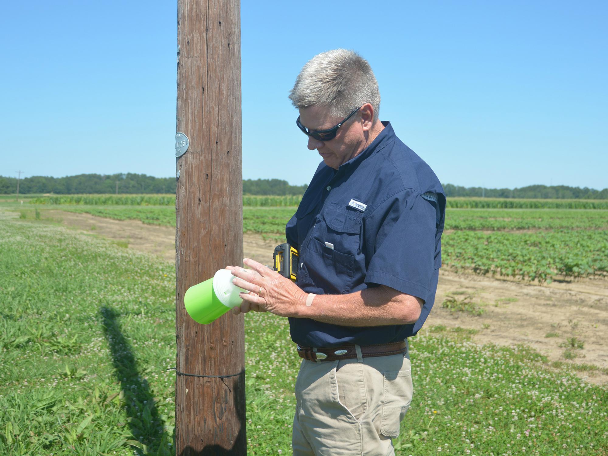 Mississippi Boll Weevil Management Corp. representative Mike Mullendore checks one of the cone-shaped traps located near a Mississippi State University research field on June 27, 2017. The traps evolved from U.S. Department of Agriculture research at the Robey Wentworth Harned Laboratory, commonly known as the Boll Weevil Research Lab at MSU. (Photo by MSU Extension Service/Linda Breazeale) 
