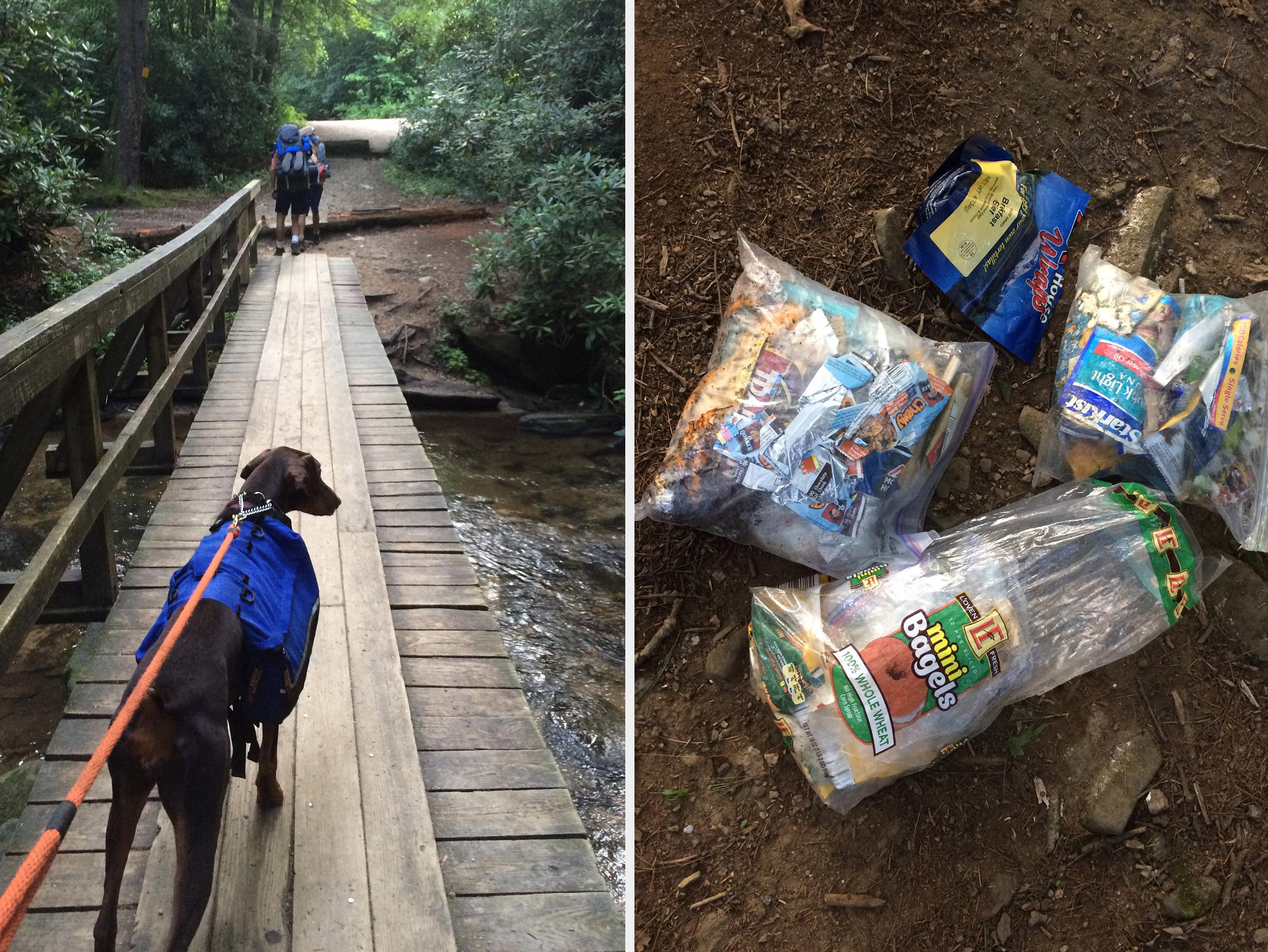 Keep dogs on leashes while on nature trails to keep them from chasing or harassing the wildlife. Bring all trash and leftover food with you when your outdoor adventure concludes. (Photos by MSU Extension Service/Evan O’Donnell)