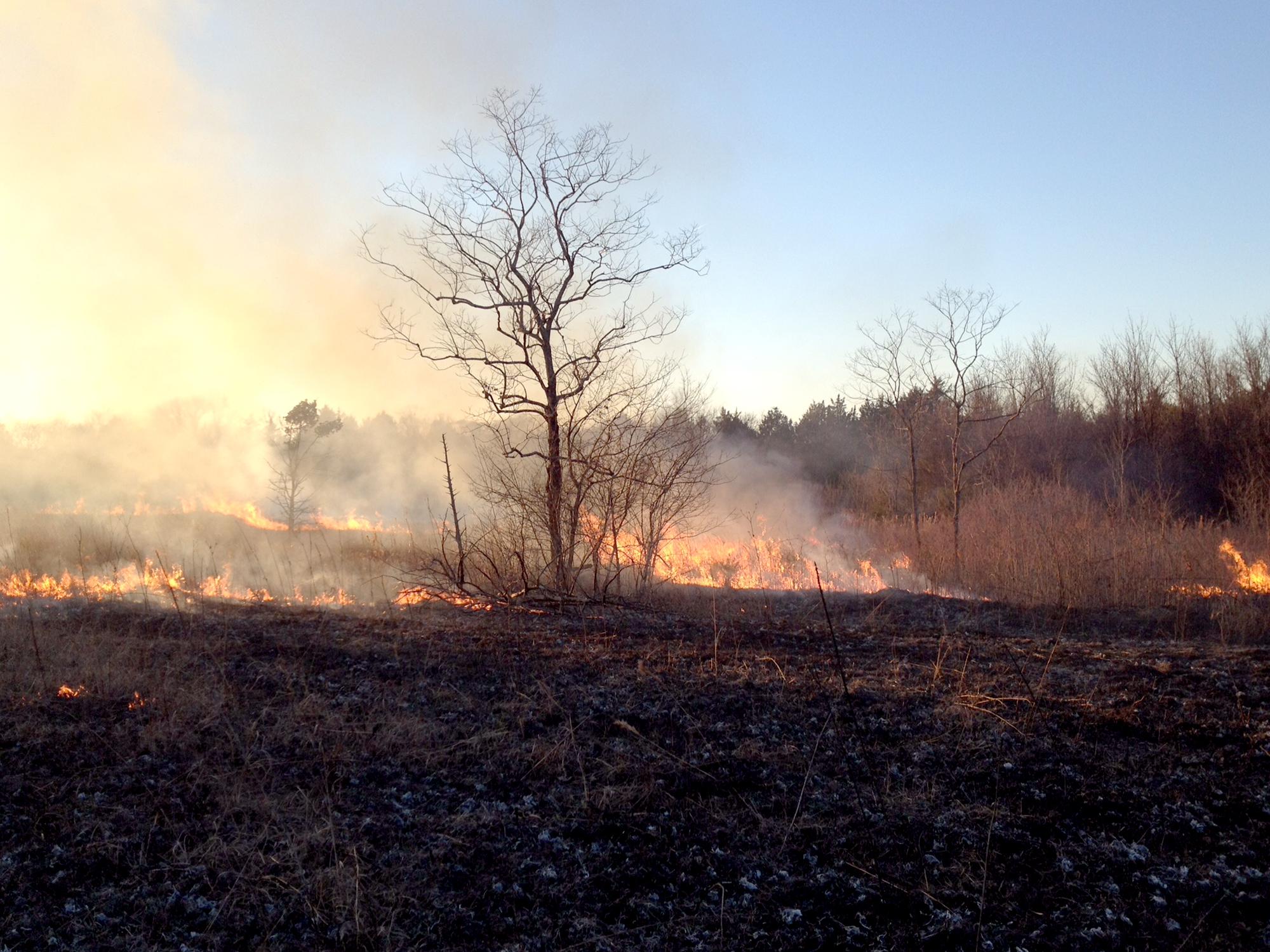 Strong winds and fires can ruin an otherwise beautiful day. Before you light a fire, consider conditions and control options if the fire begins to move in unwanted directions. (Photo by MSU Extension Service/Andrew Smith)