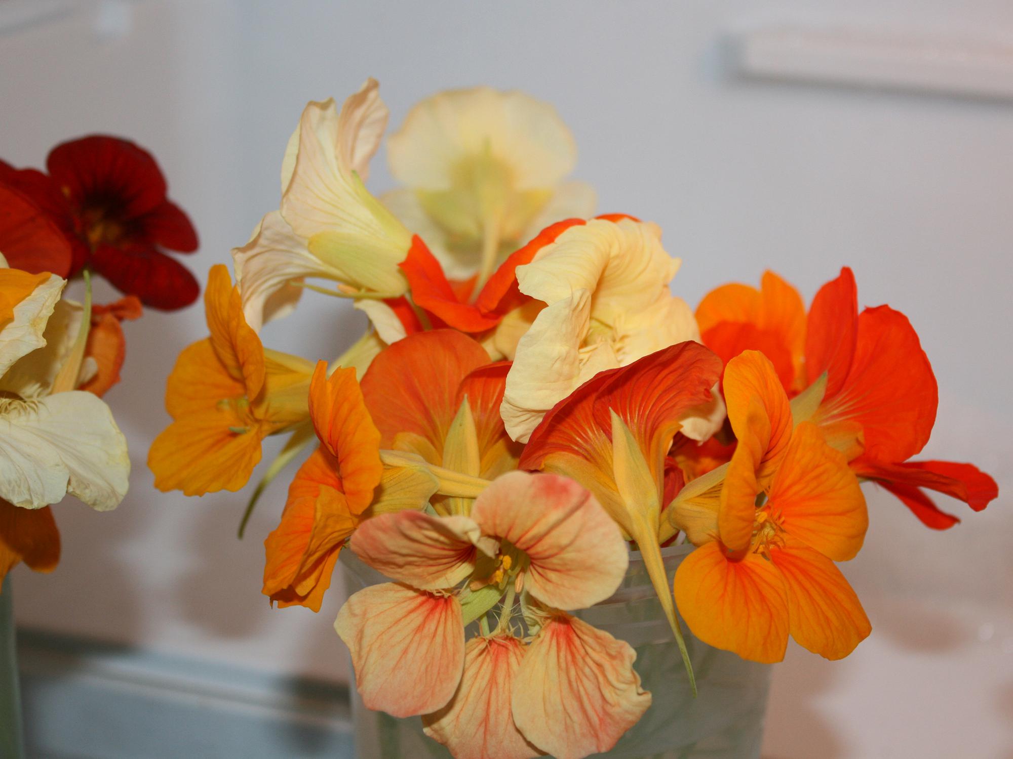 A bouquet of small, orange and yellow flowers.