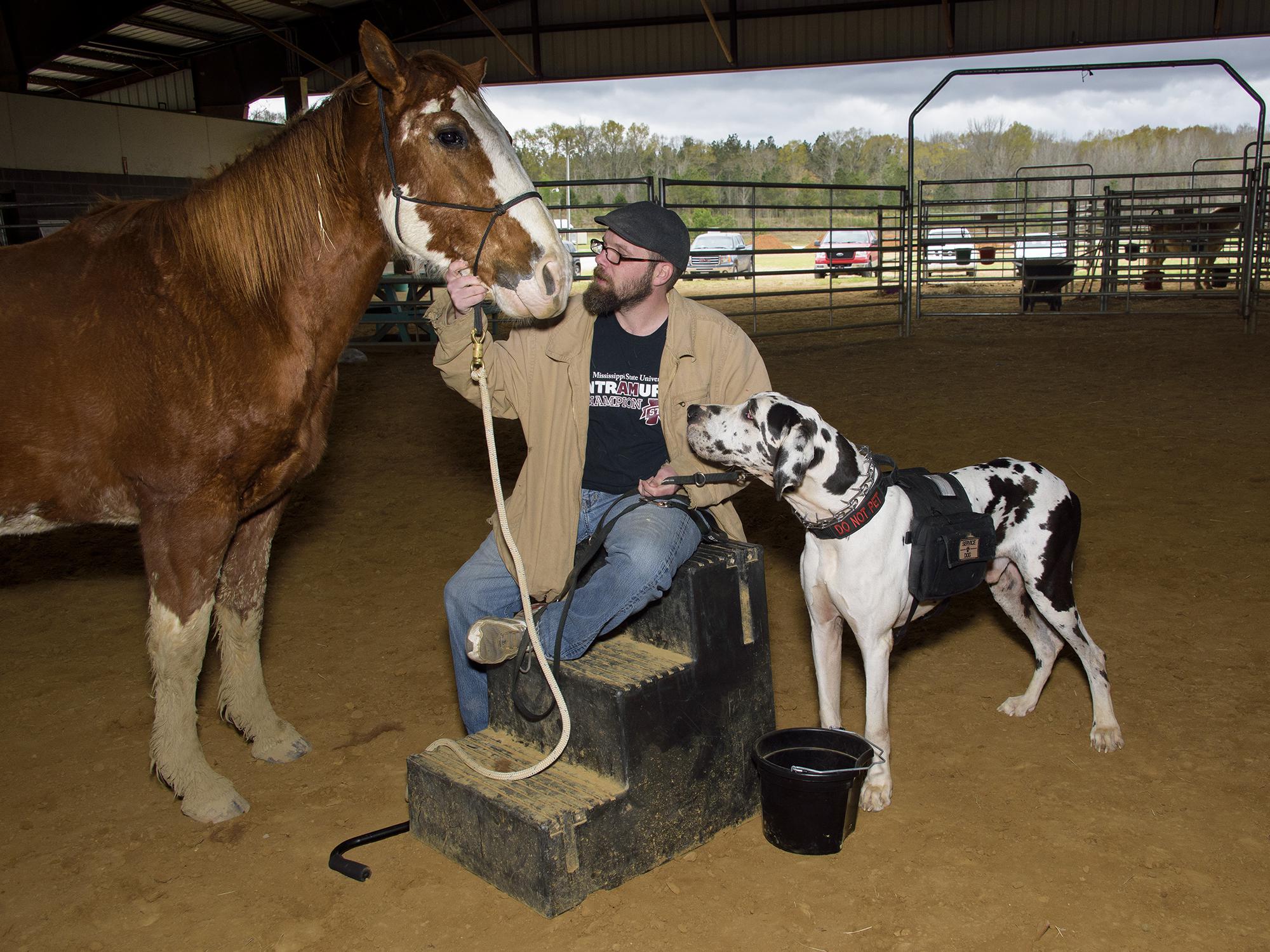 Man seated on a step stool in an arena looks at a horse while a large dog watches cautiously.