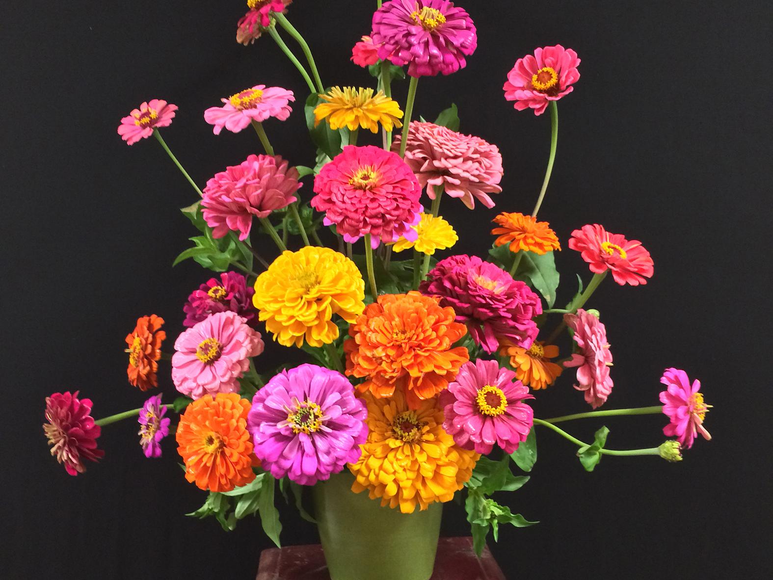 A arrangement of pink, orange and yellow zinnias sit on a stool against a black background.
