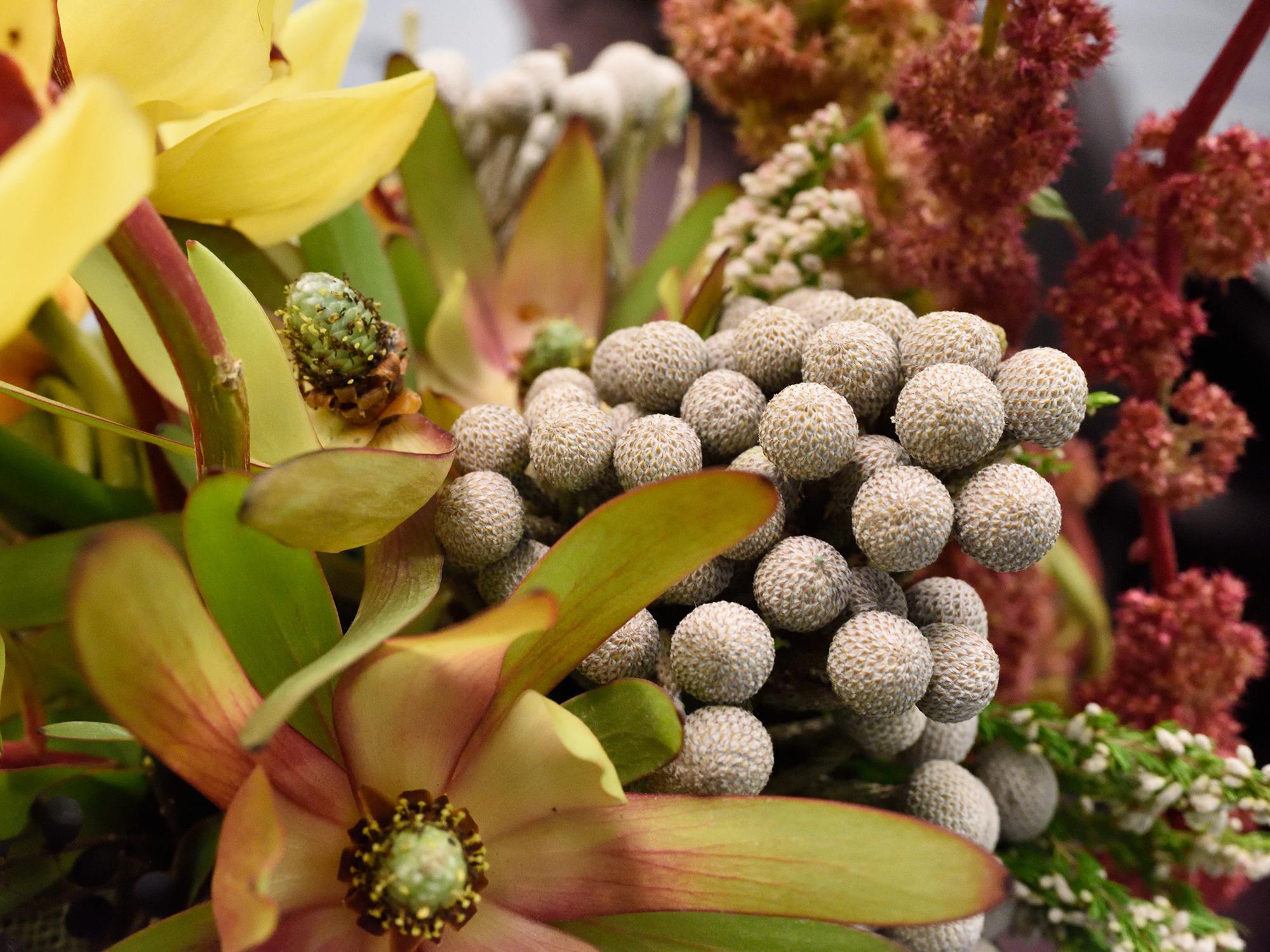 A floral arrangement with fall colors.