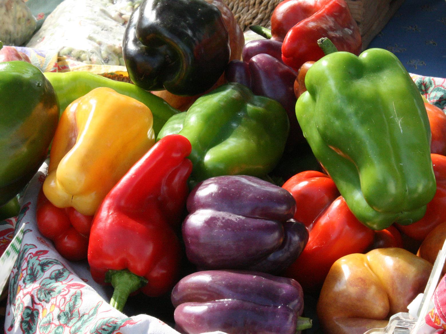 How to Grow Peppers - Part 2 - MSU Extension