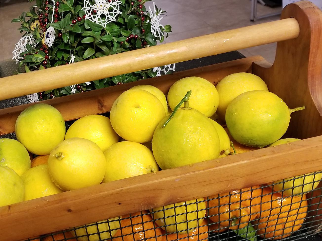 A wooden and wire basket full of yellow and orange fruit sits indoors with a Christmas tree in the background.