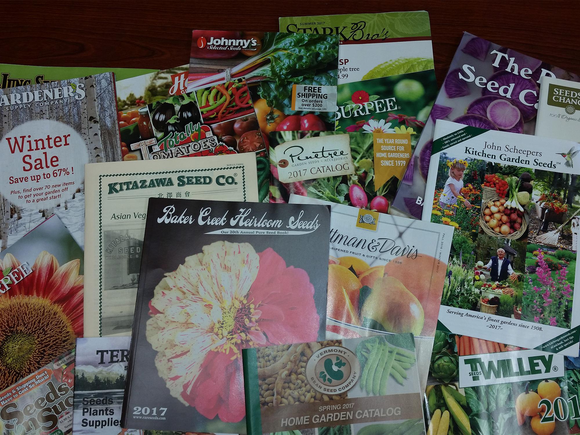 The colorful covers of about 20 gardening catalogs are fanned out on display.