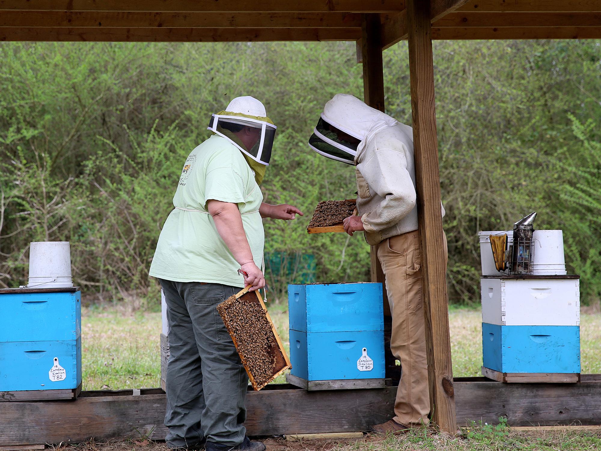 Two men in beekeeping attire examine bee hive boxes.
