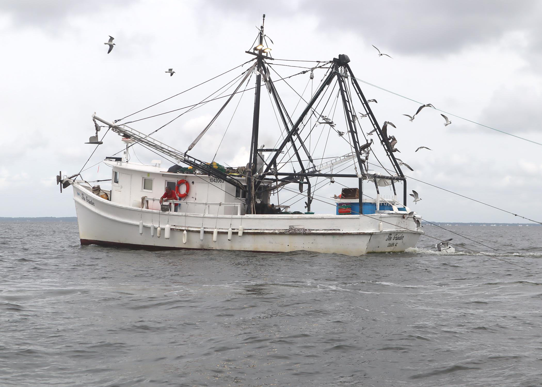 Fishing vessel trawls multiple nets for shrimp.