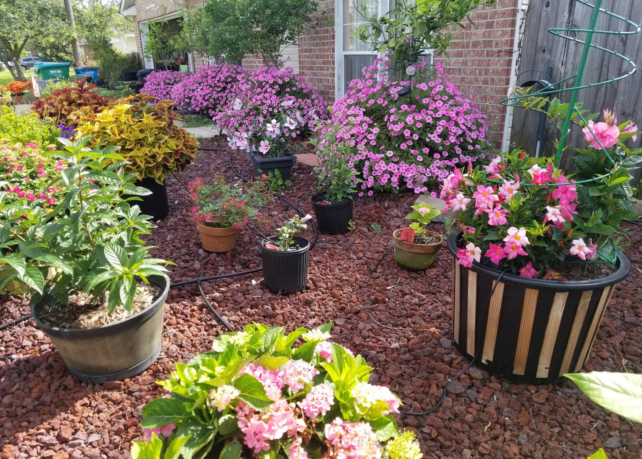 A variety of different sized and colored containers rest on a bed of gravel.
