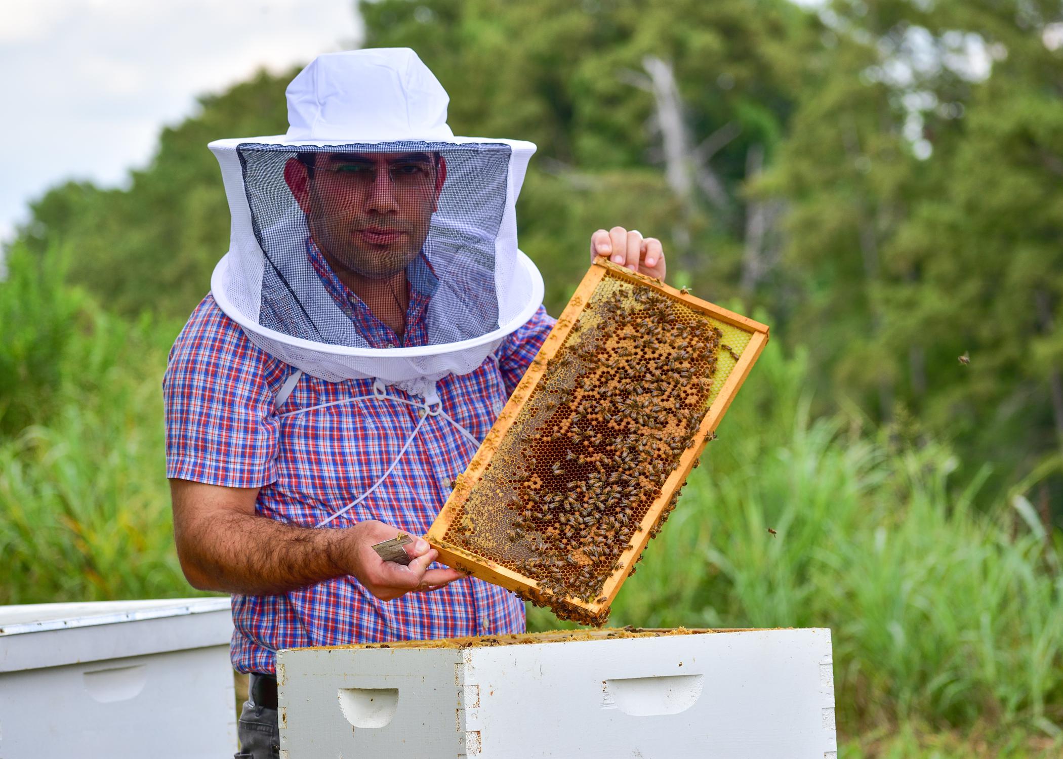 MVCC Beekeeping Feasibility Study