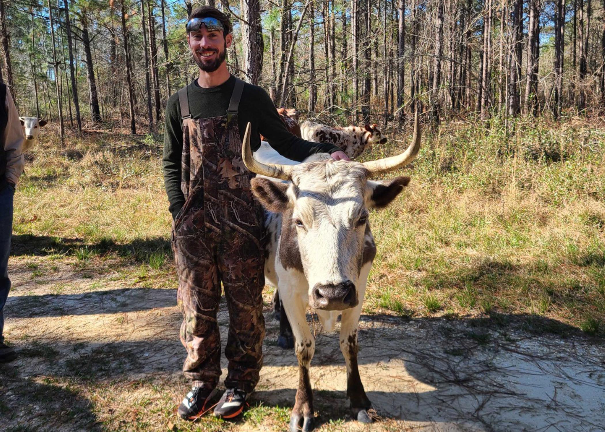 Man with a bull