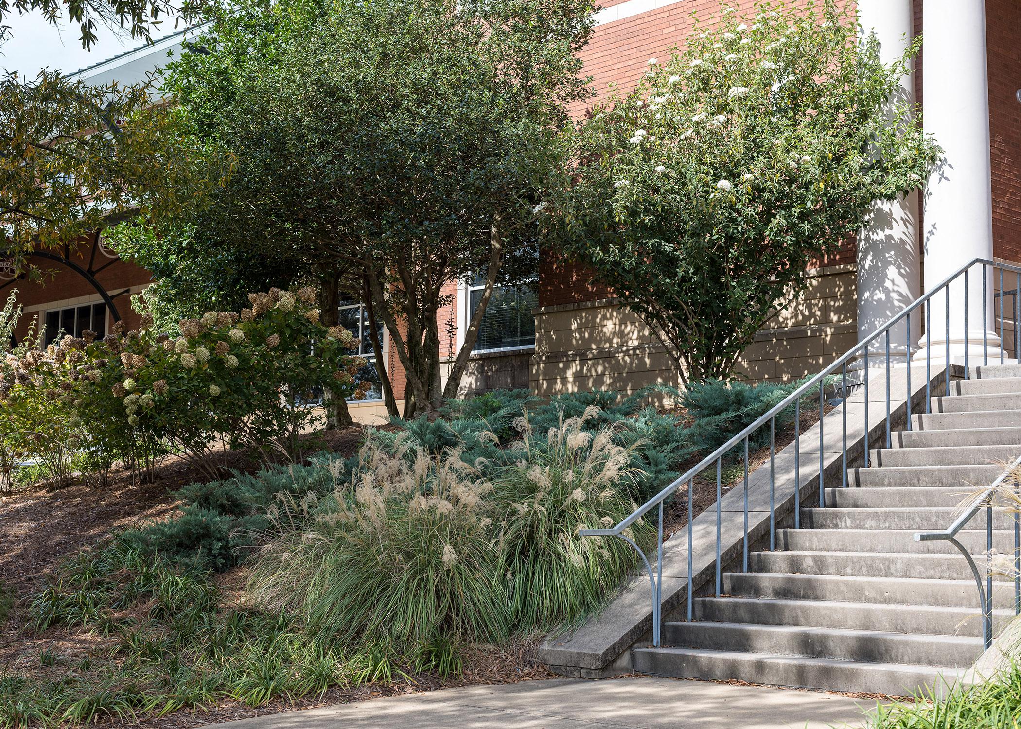 Different plants decorate the area beside a set of stairs.