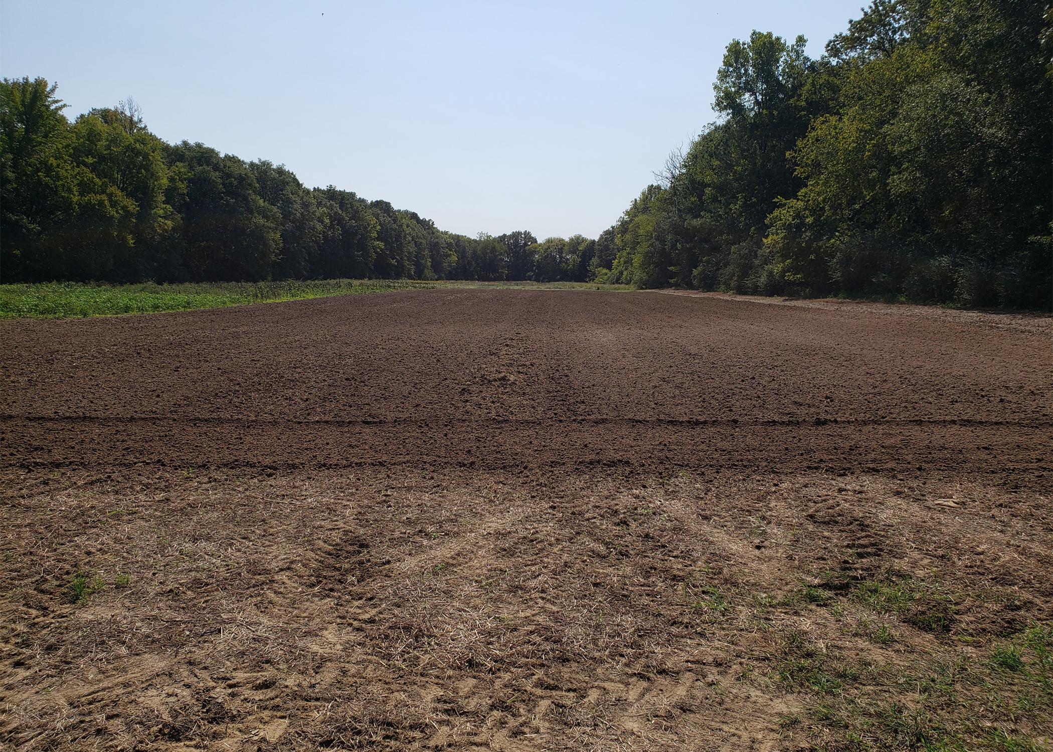 A plot of cultivated soil is surrounded by undisturbed soil.