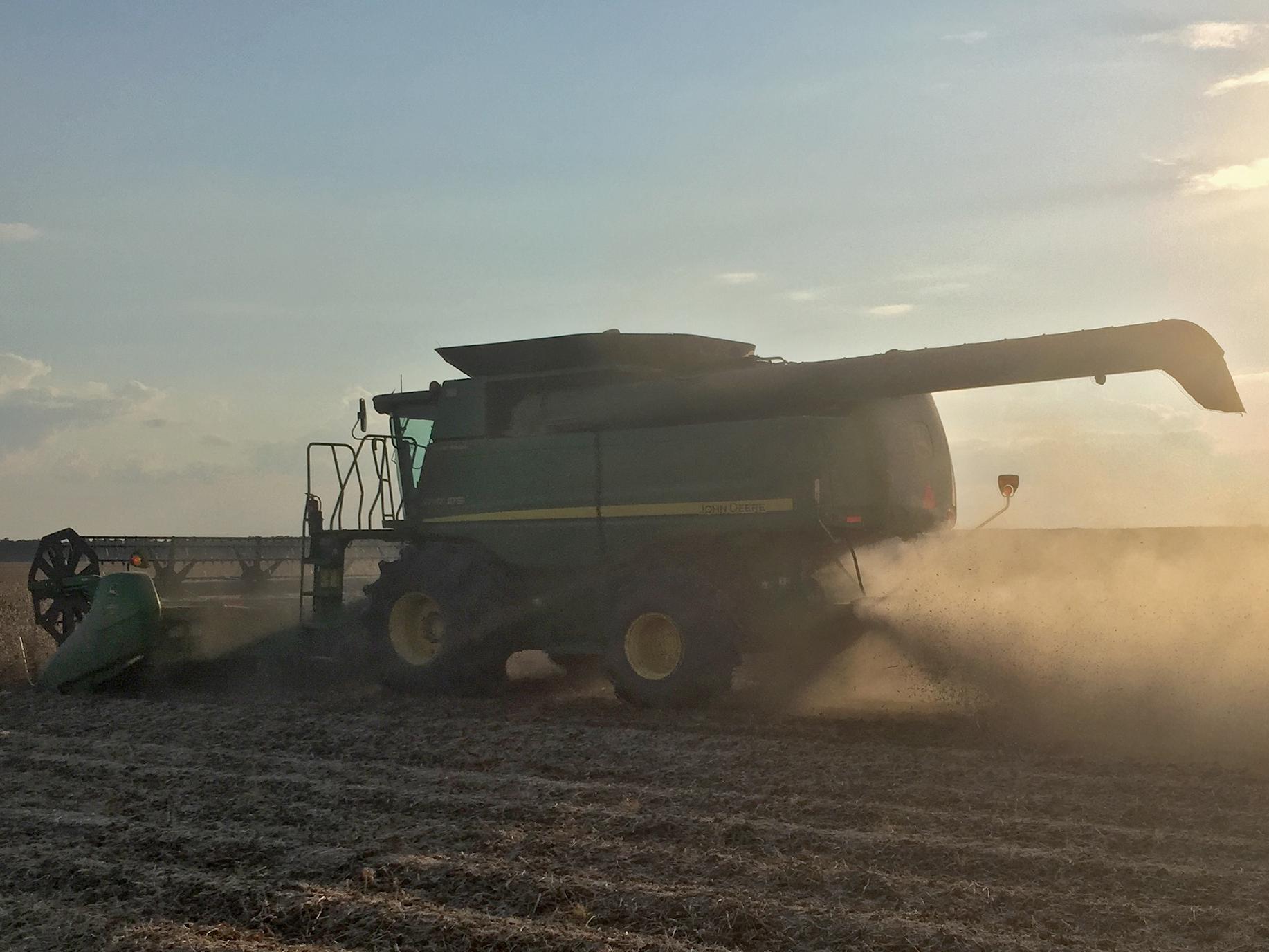 Harvest was nearly done by the end of October for the state’s 2 million acre soybean crop. Experts expect yields to average 48 bushels per acre across the state, keeping this year’s production in line with that of recent years. This combine was harvesting Leflore County soybeans Sept. 23, 2016. (Photo by MSU Extension Service/Trent Irby)​