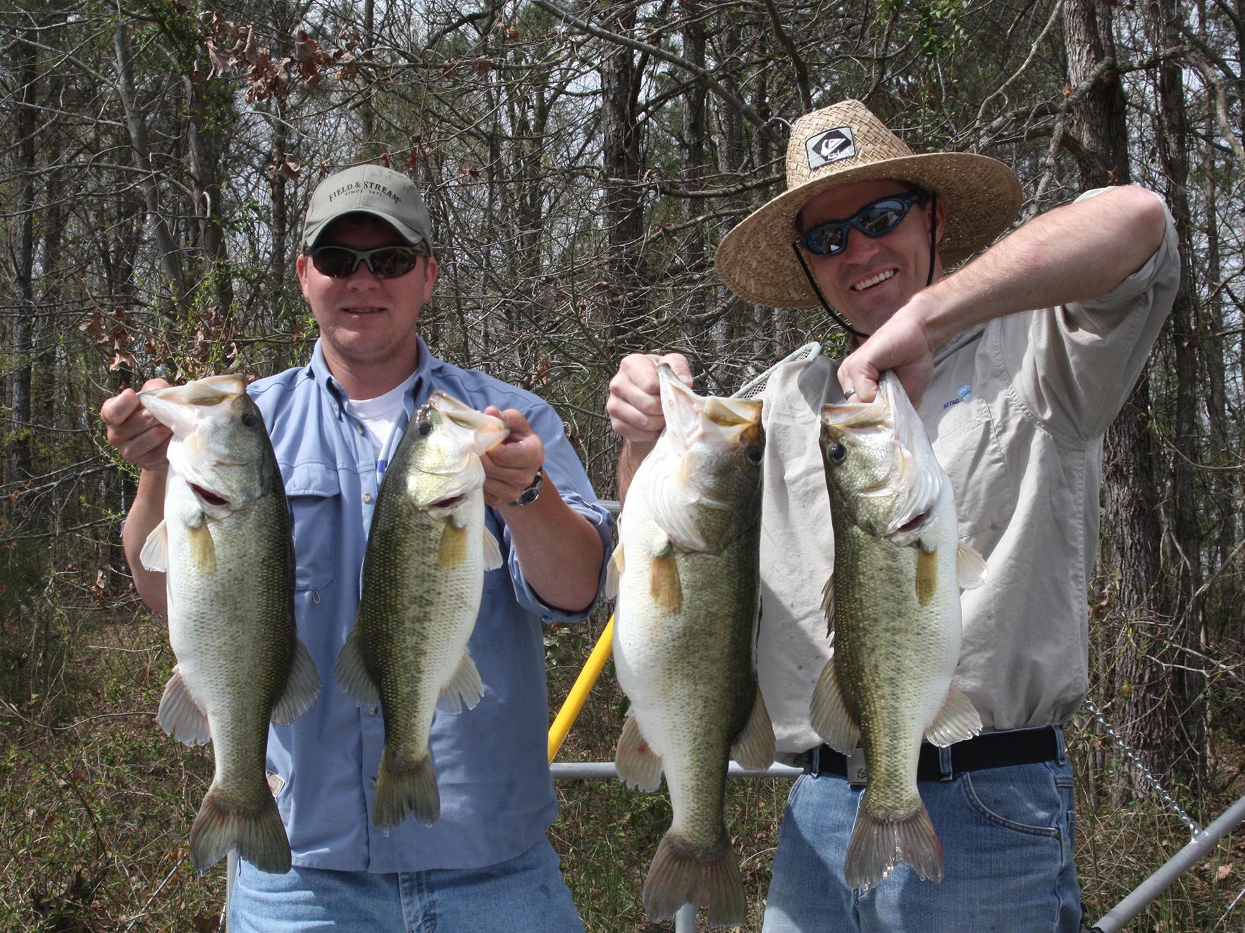 Great days on the lake like this one do not just happen. Fish management plays a significant role in meeting the pond owner’s desire for growing trophy bass. (Submitted photo)