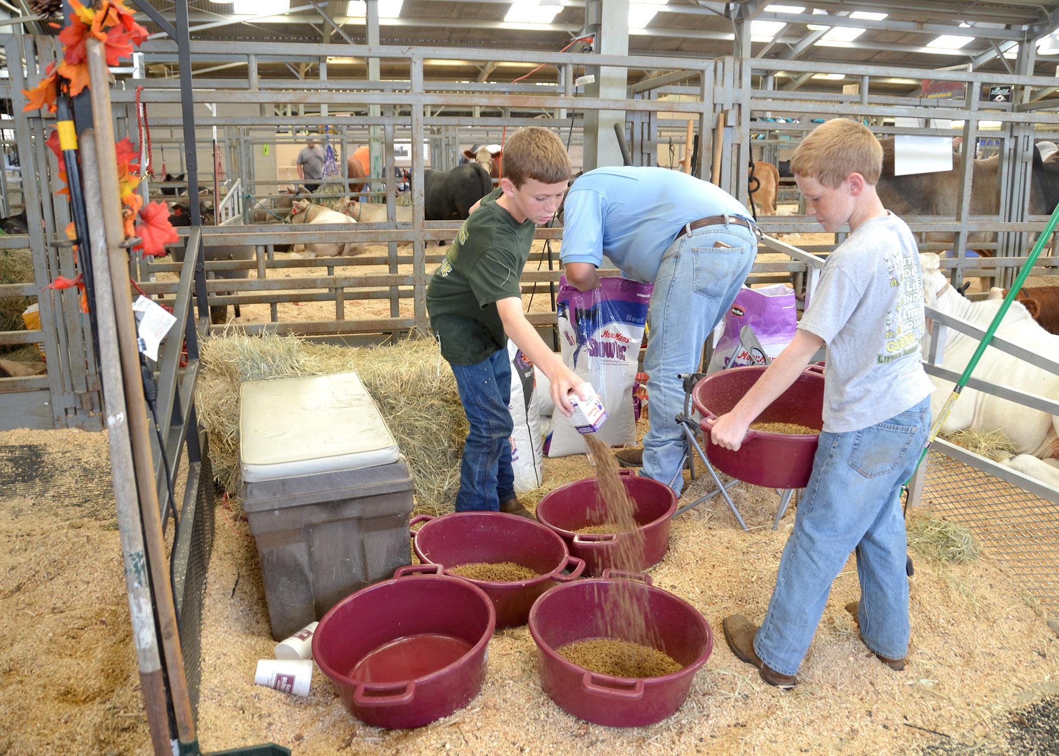 Caleb Mauldin (left) and Cade Mauldin get some help mixing cattle feed from their dad Lance Mauldin at the Mississippi State Fair Oct. 4. Caleb and Cade show beef cattle as members of Jones County 4-H. (Photo by MSU Ag Communications/Susan Collins-Smith)