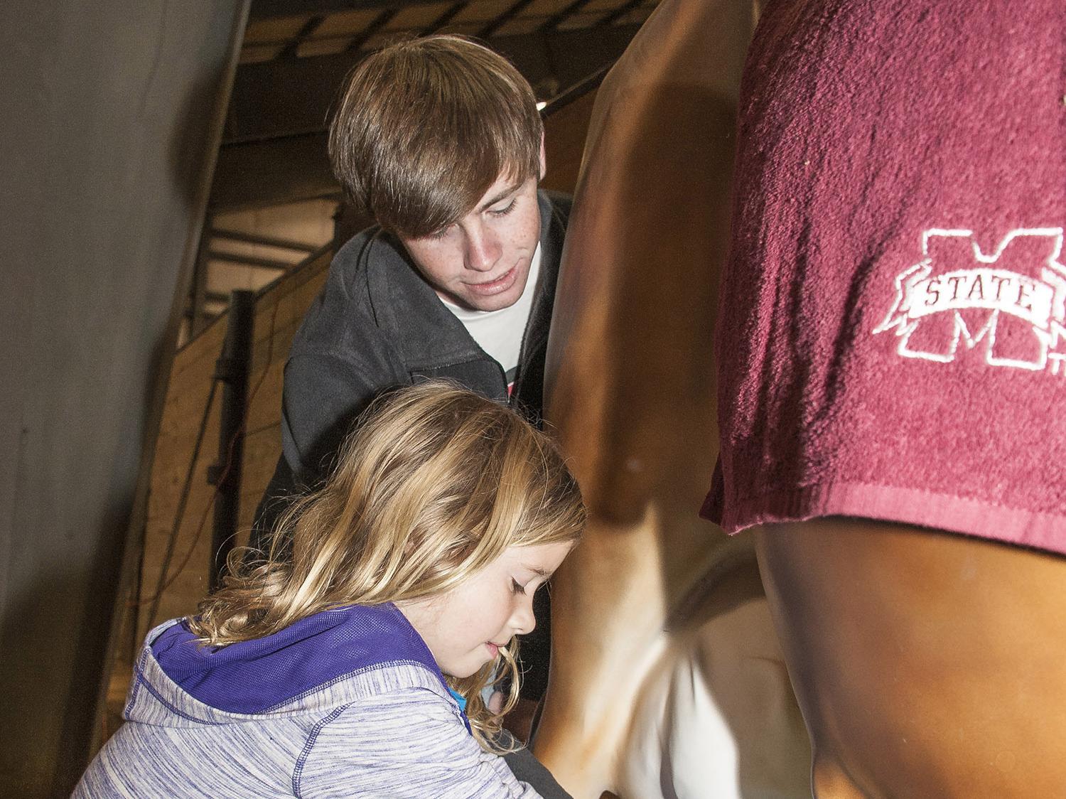 Sydney McReynolds of Starkville learns about milking cows with an imitation Jersey while Tucker Wagner, a junior in animal and dairy sciences at Mississippi State University, explains the process at the Mississippi Horse Park on Nov. 7, 2013. The demonstration was part of Farmtastic, a four-day educational program designed to help children learn the sources of their food, clothing and other products. (Photo by MSU Ag Communications/Scott Corey)