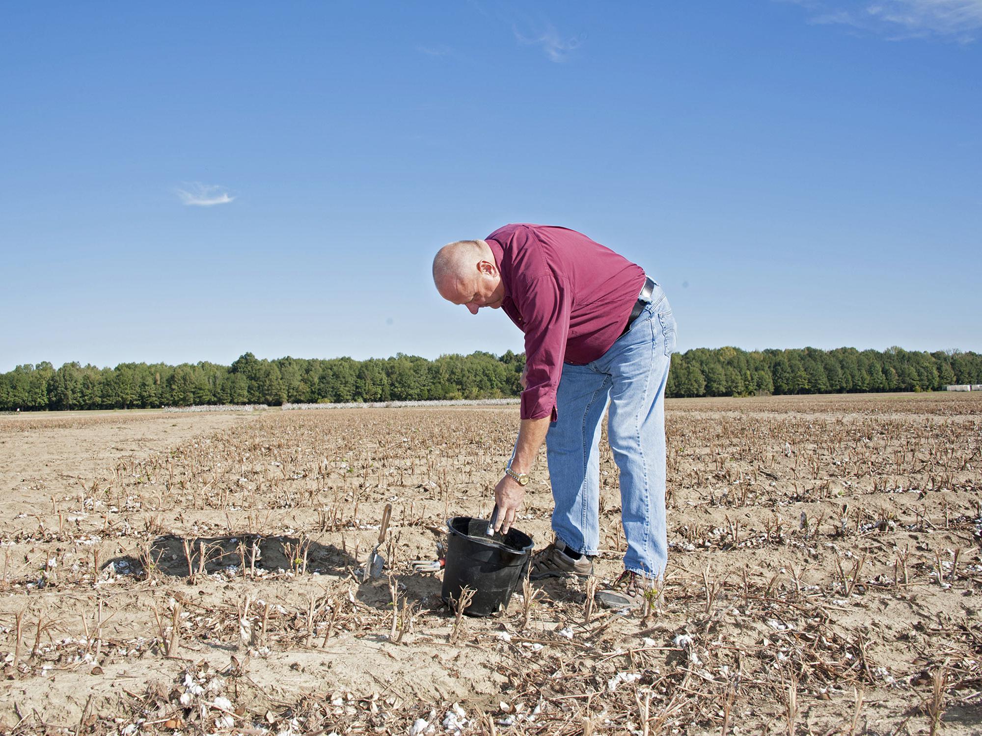 Larry Oldham, Mississippi State University soil specialist, samples soil in a Delta field on Oct. 17, 2014. (Photo by MSU Ag Communications/Kat Lawrence)