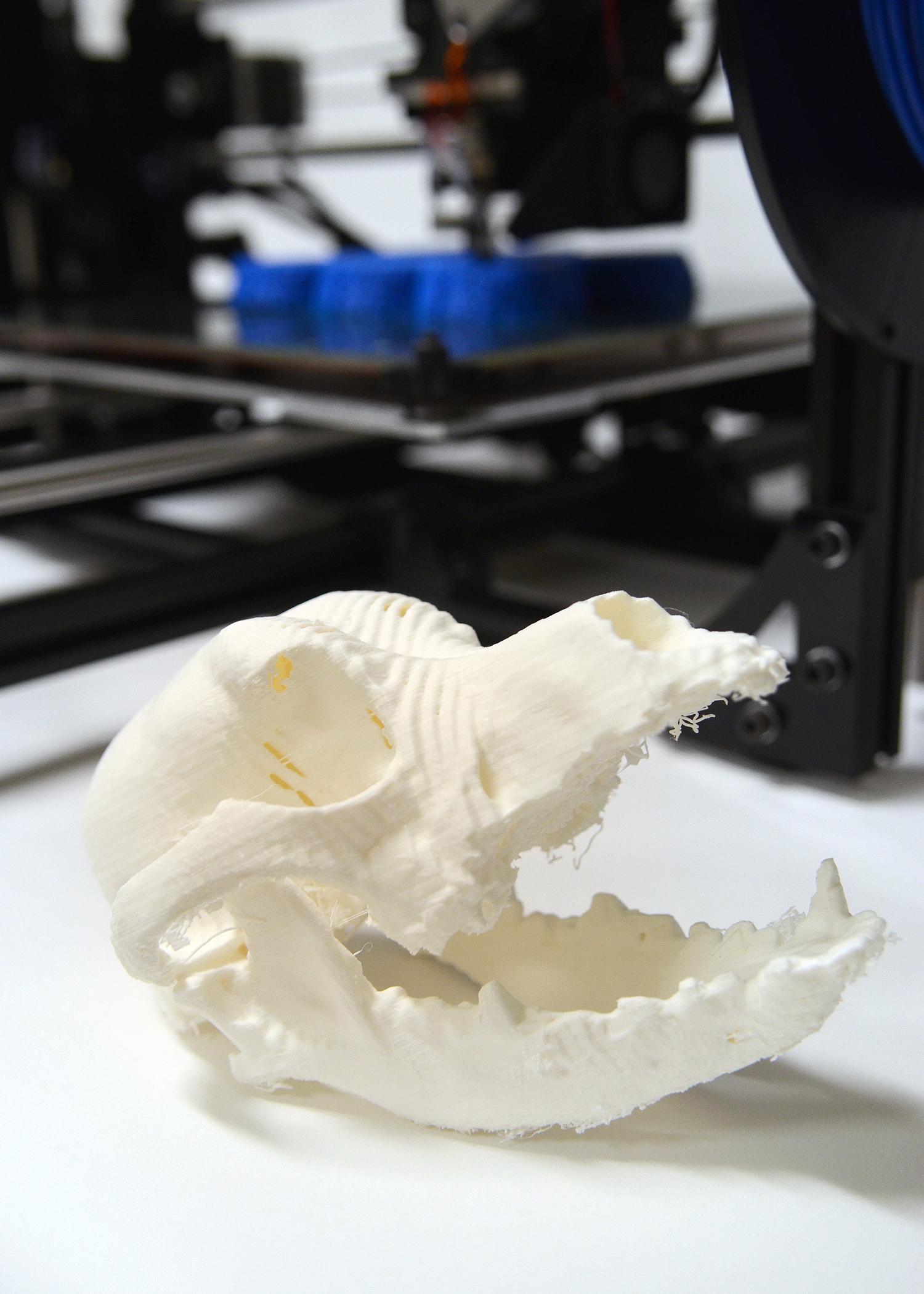 A 3-D printer allows veterinarians to look at spinal and skull injuries in animals and find new ways to correct them. Students and residents benefit from being able to observe and inspect models of different types of spinal and skull injuries. (Photo by MSU College of Veterinary Medicine/Tom Tompson)