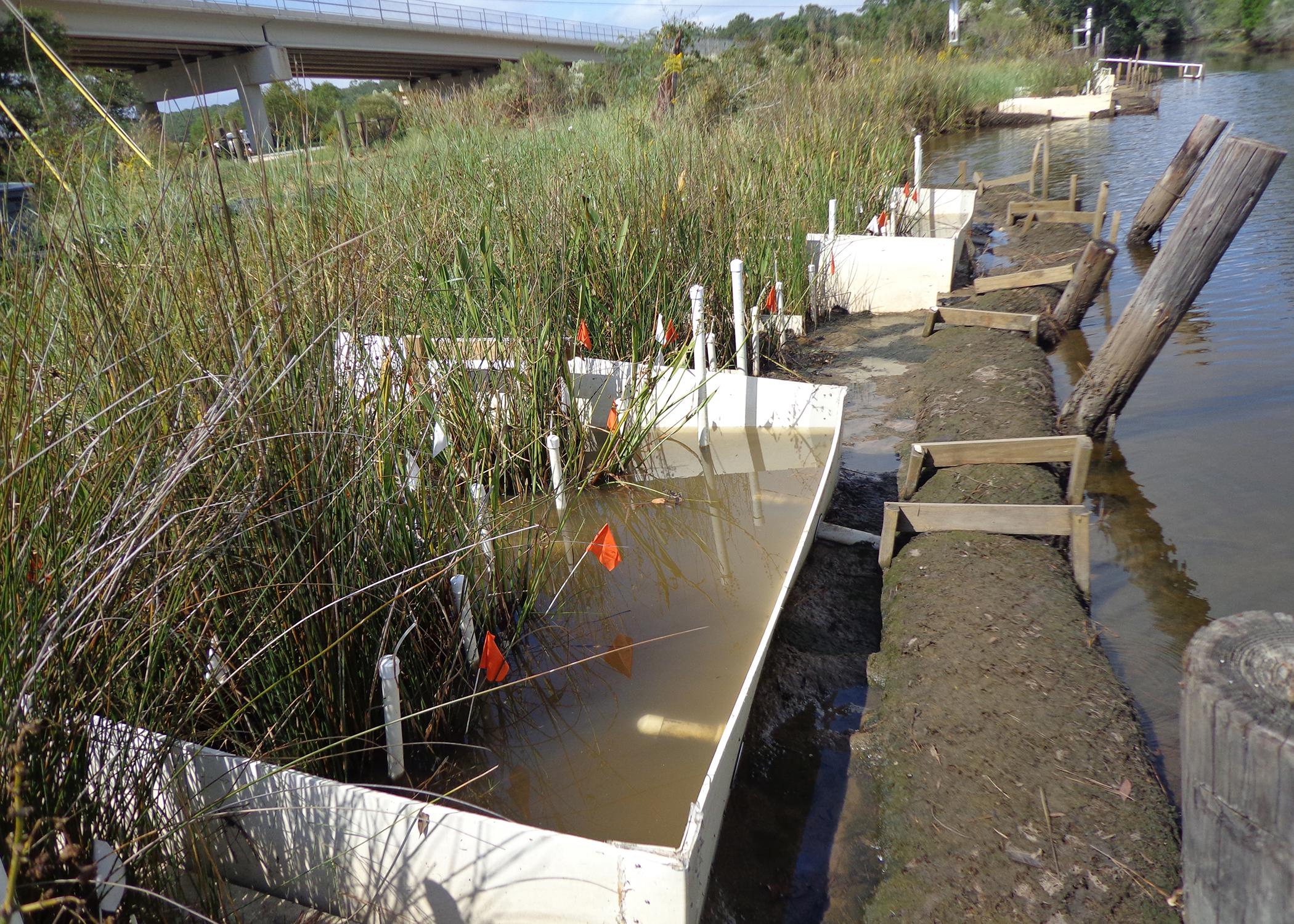 A team of scientists from Alabama and Mississippi constructed low-cost weirs, such as these, at the Weeks Bay National Estuarine Research Reserve to study the effect of rising sea levels on coastal wetlands. (Photo courtesy of Eric Sparks)