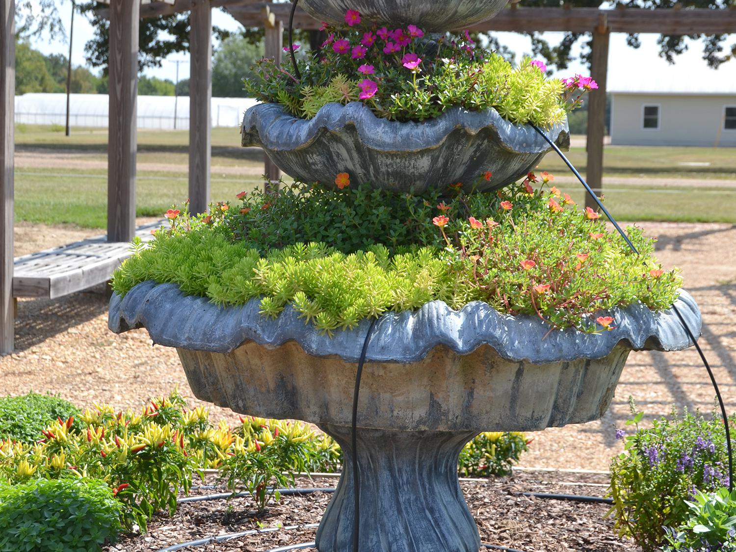 Staff members at the Mississippi State University Truck Crops Experiment Station are working to put together displays such as this flower-filled fountain for the Fall Flower & Garden Fest scheduled for Oct. 16 and 17 at the station. (Photo by MSU Ag Communications/Susan Collins-Smith)