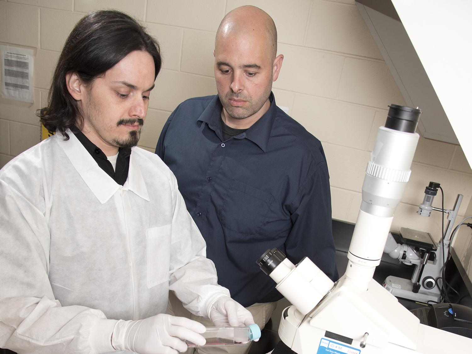 Drs. Peres Ramos Badial, left, and Camillo Bulla, researches in the Mississippi State University College of Veterinary Medicine, study how platelets alter cancer cells and help them metastasize. (Photo by MSU College of Veterinary Medicine/Tom Thompson)