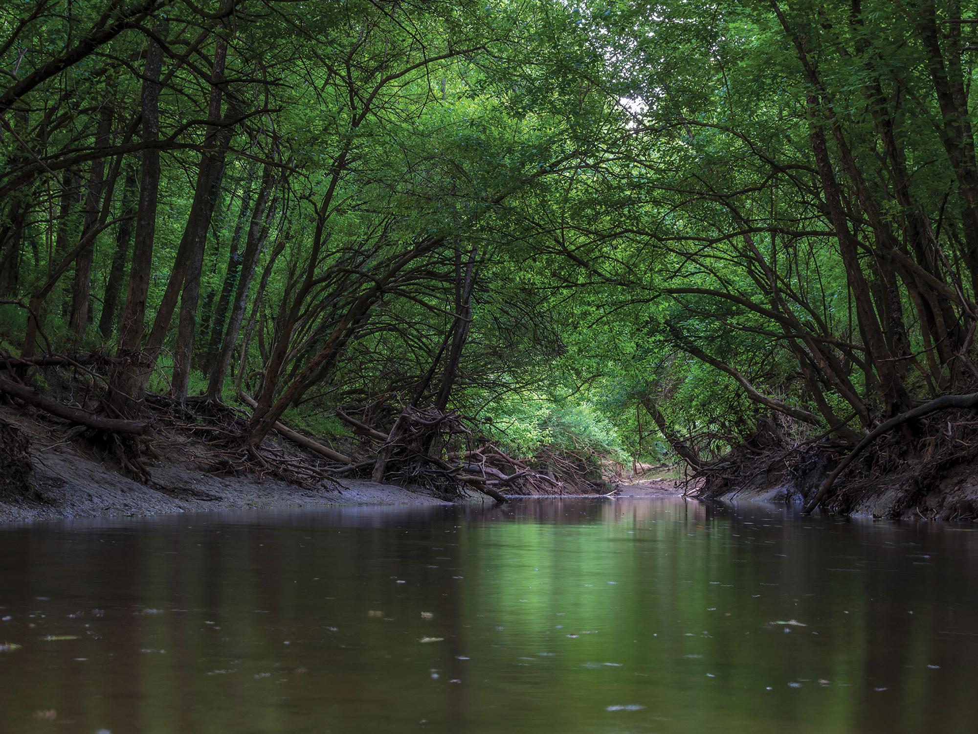 MSU Researcher receives grant to research water disinfection - MSU  Innovation Center