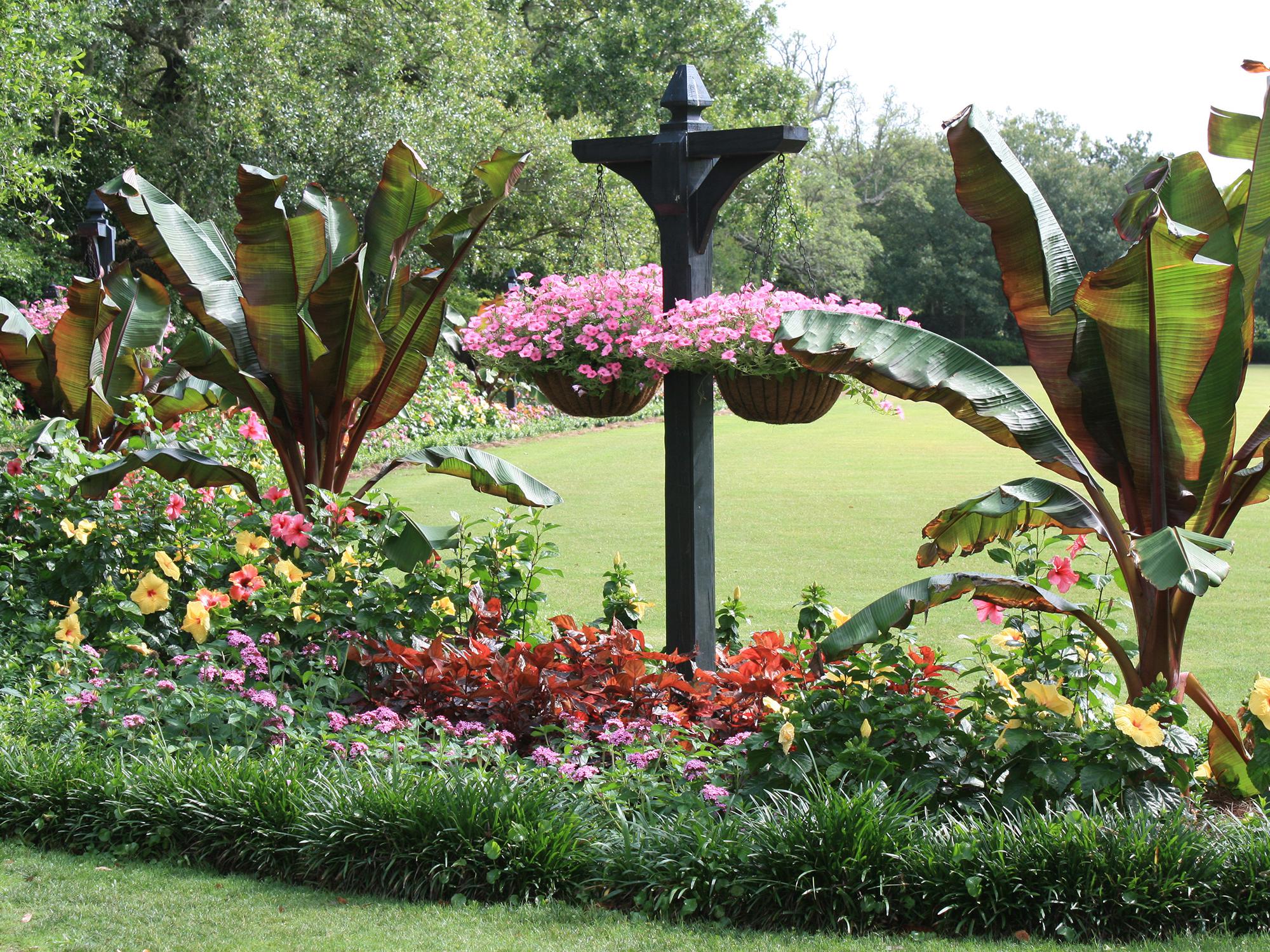 Mississippi State University Extension specialists will be on hand to present seminars for home gardeners on how to create landscapes like this one. (Photo by MSU Extension Service/Gary Bachman)