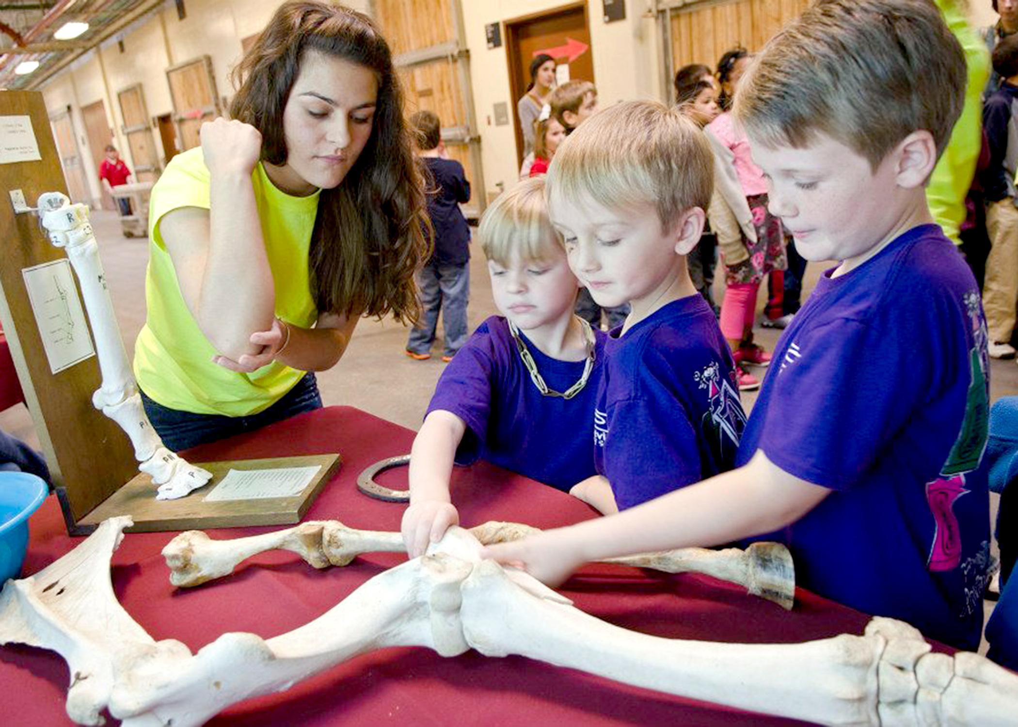 The Mississippi State University College of Veterinary Open House will welcome preregistered school groups April 4 and the general public April 5. Students can enjoy hands-on activities and demonstrations. (Photo by MSU College of Veterinary Medicine/Tom Thompson)