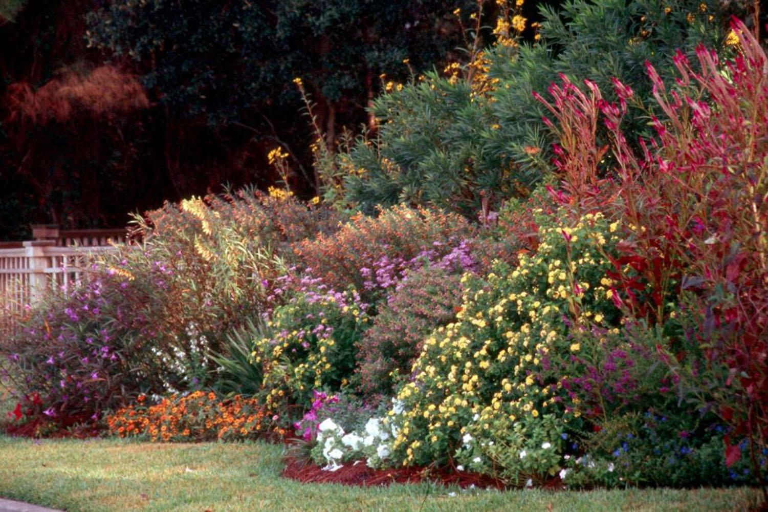 When gardeners discover the harmony that results from using varying colors and textures, what was once considered simply a flower border takes on the look of a real garden.