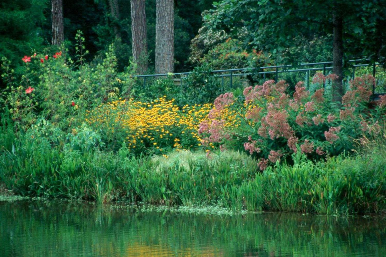 Joe Pye weed and Goldsturm rudbeckia partner well in this lakeside planting, looking impressive even from a distance.