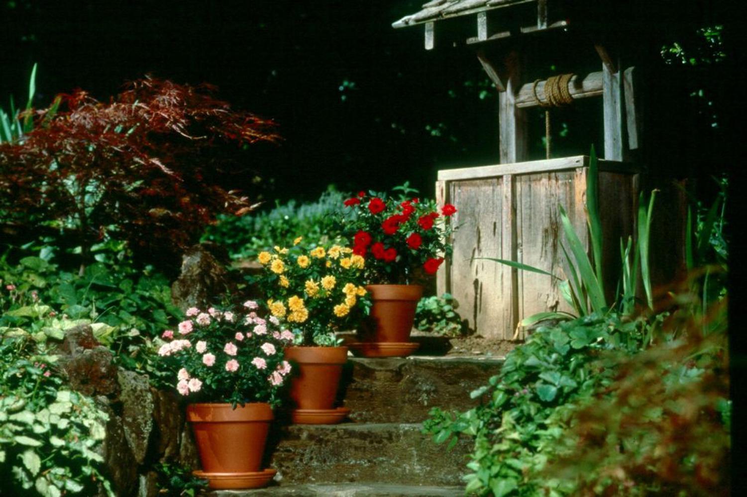 Containers may be the perfect place for small, manageable flower gardens. Stair-stepping containers at the home's entryway will make visitors feel welcome.