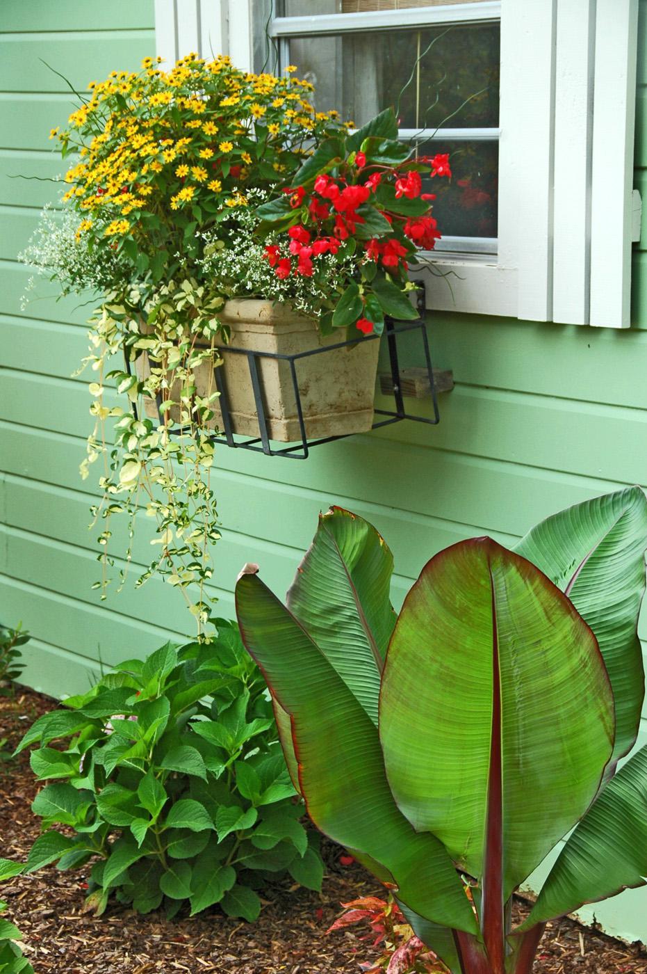 Window-box plantings can attract eyes above traditional landscape beds. Just like ground level planting, take time to prepare the soil. Select a good, lightweight potting mix.