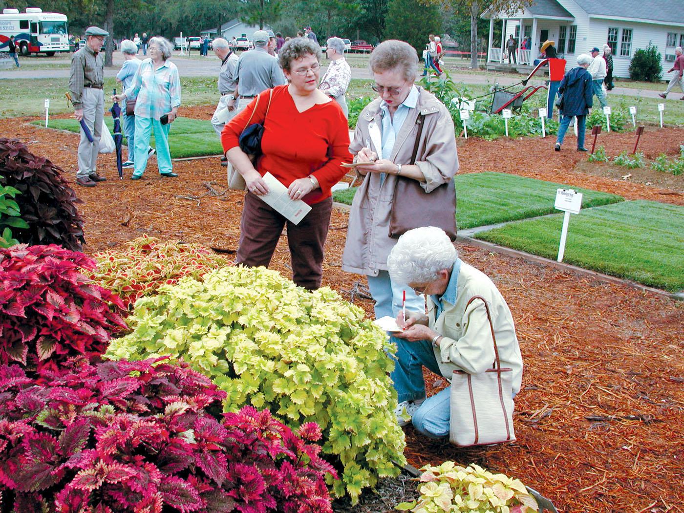 Gardeners of all skills flock to the Fall Flower and Garden Festival in Crystal Springs to examine the displays and collect new ideas. These ladies visited a previous festival and took notes on a vigorous sun coleus display. (Photo by Bob Ratliff)